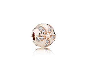 Cherish Every Memory with PANDORA